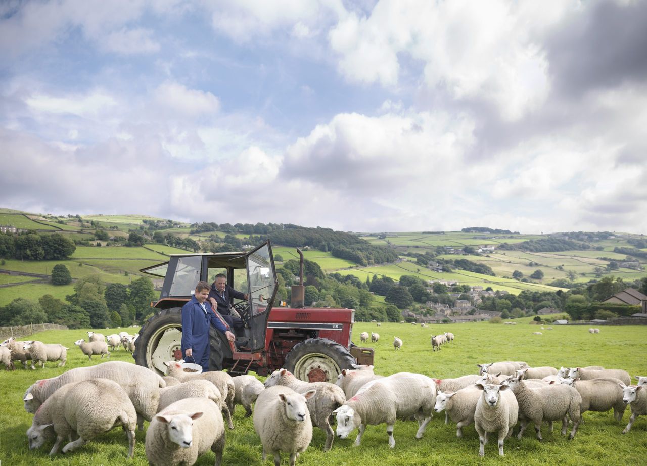 Farmer in tractor with son watching sheep in field