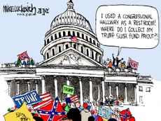 Political Cartoon