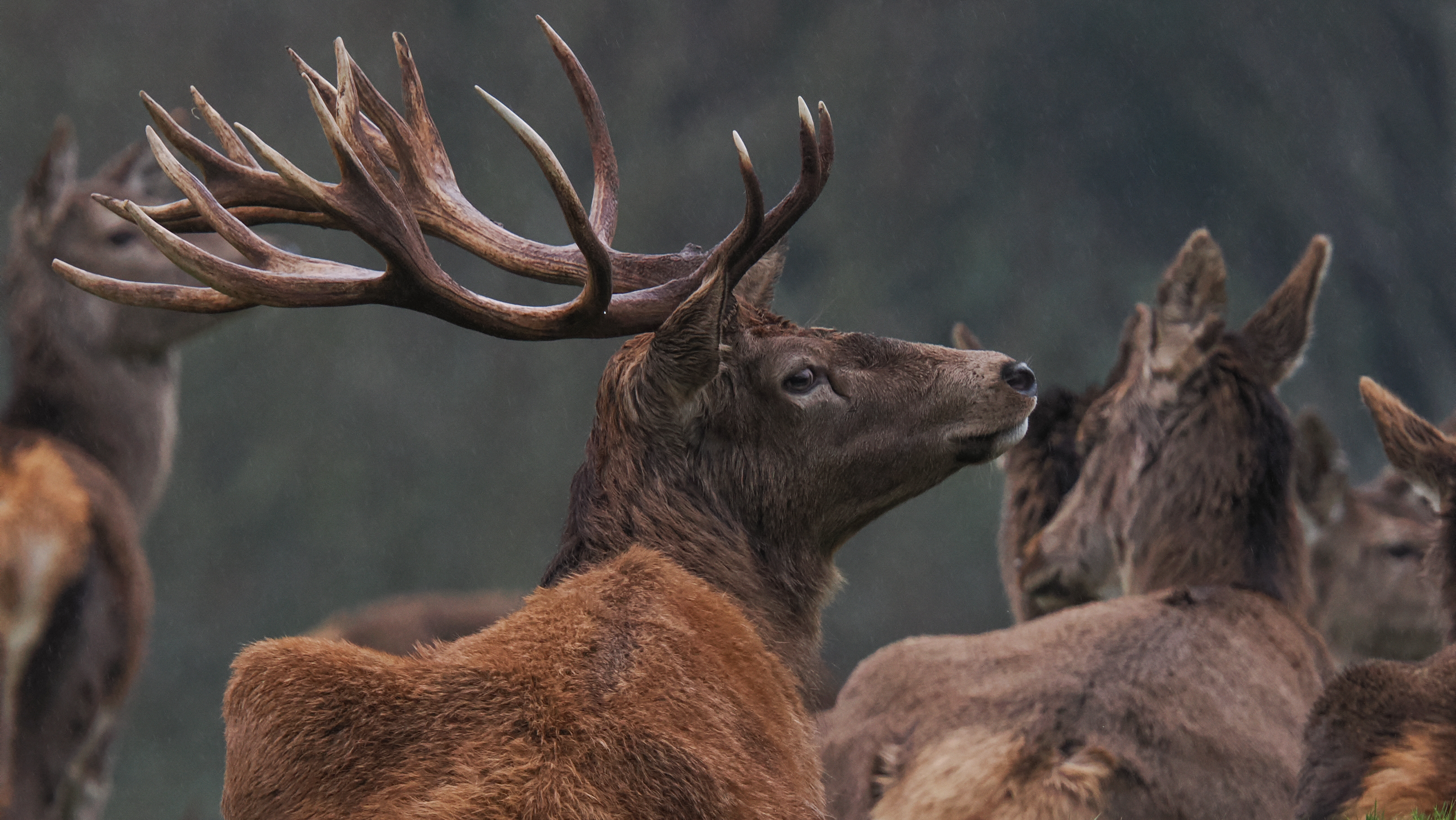 A photo taken on an OM System OM-1 Mark II Micro Four Thirds mirrorless camera