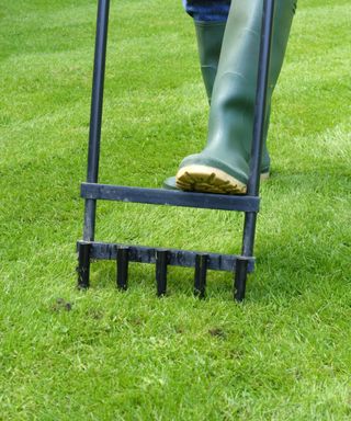 A green lawn with a green wellington boot pressing down on a black metal aerating tool