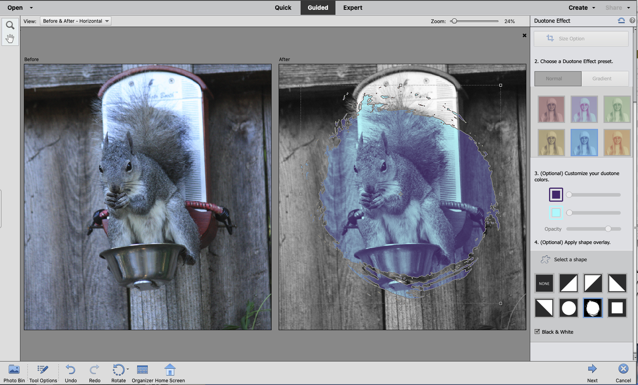Adobe Photoshop Elements 2021 review