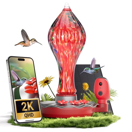 Tt Nature Glass Hummingbird Feeder With Camera, 2k Qhd Hummingbird Feeder Camera With Ant Moat, Solar Powered Bird Camera, Ai Identify Bird Species, Water Level &amp;amp; Quality Monitor, Ideal Gift