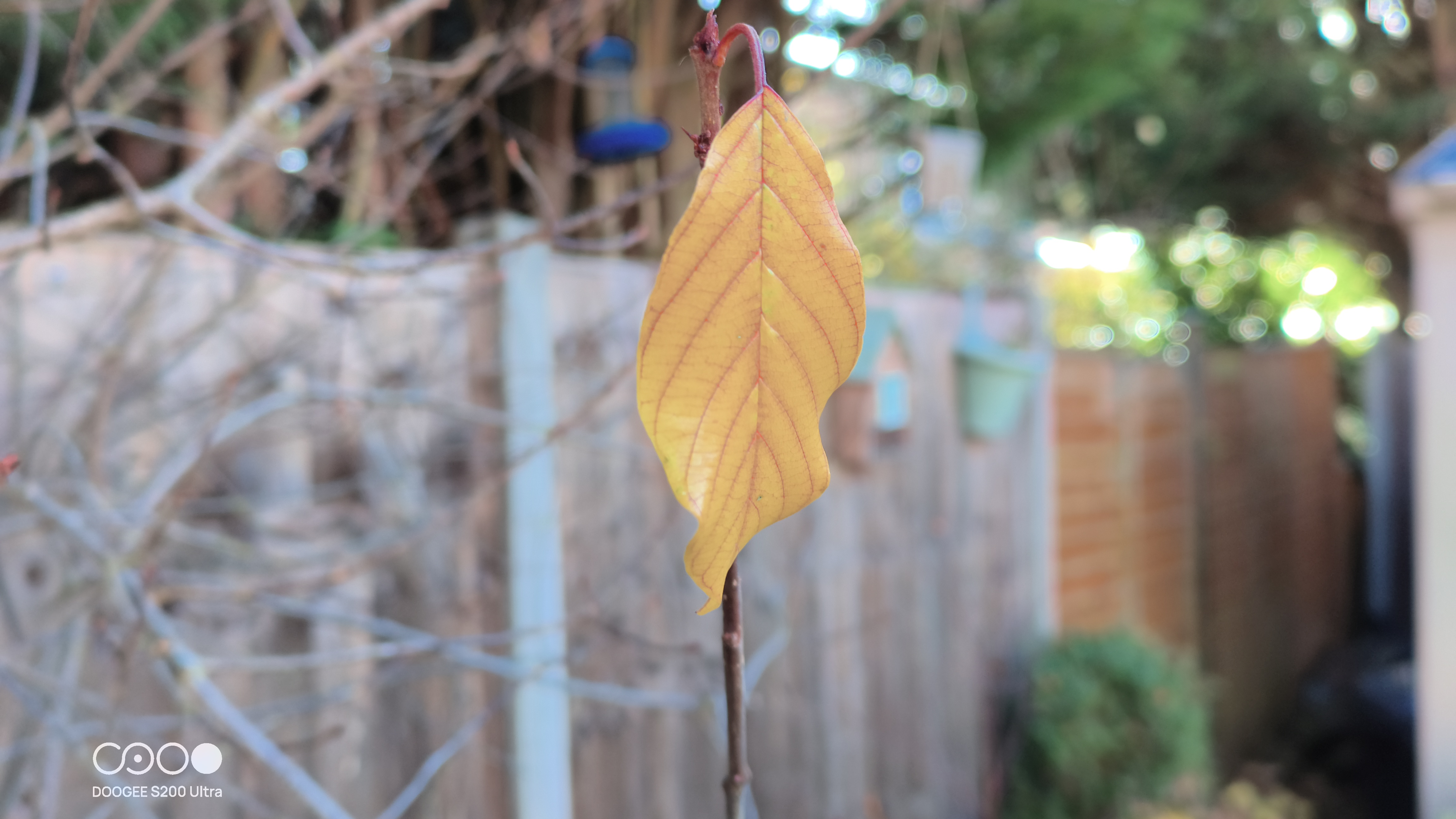 Doogee S200 Ultra Photo Examples