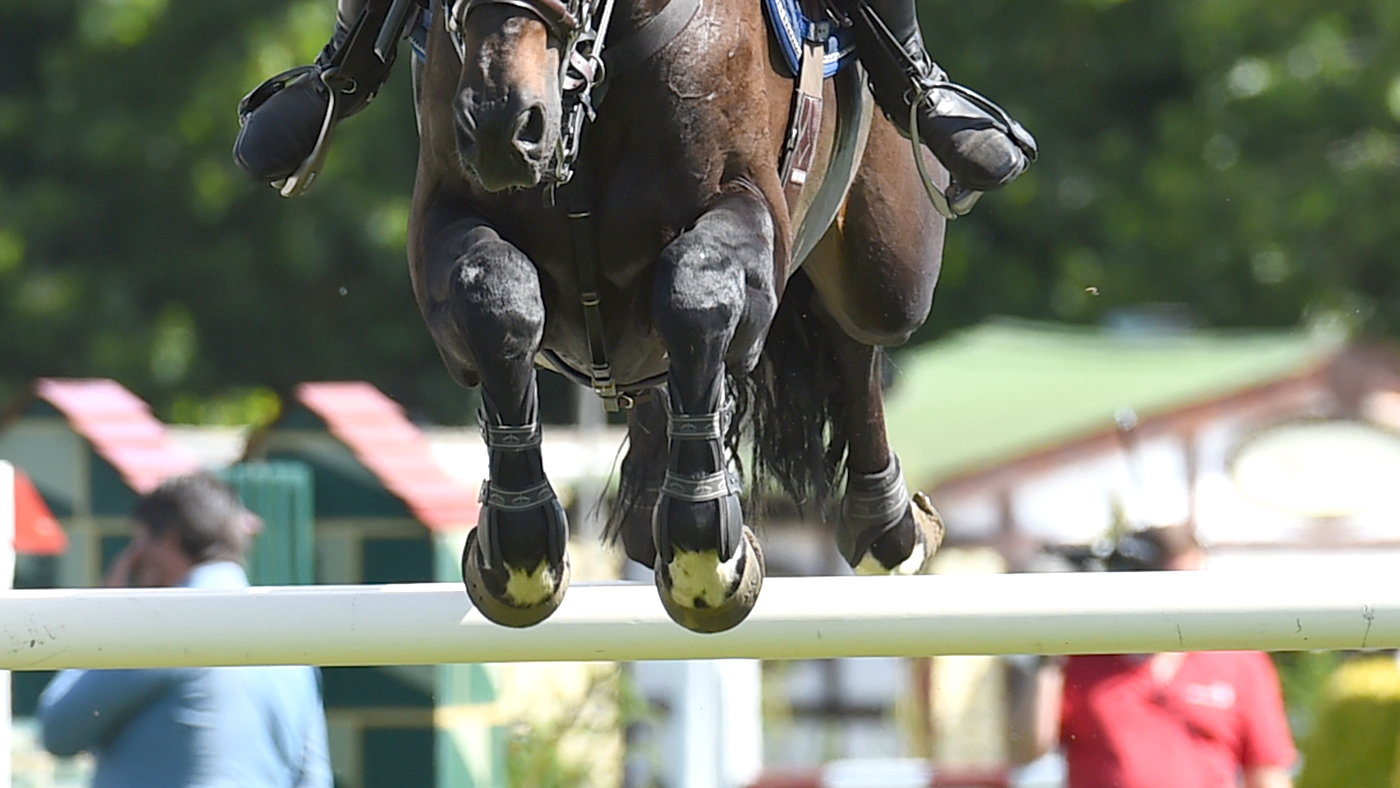sj jump Showjumping show jumping