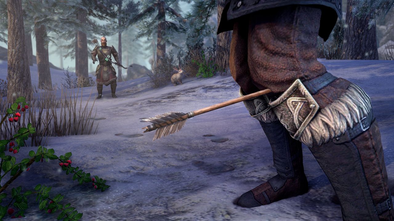 Final Fantasy 14 lost me with Dawntrail, but The Elder Scrolls Online promises to mend my broken heart with a return to Skyrim and more