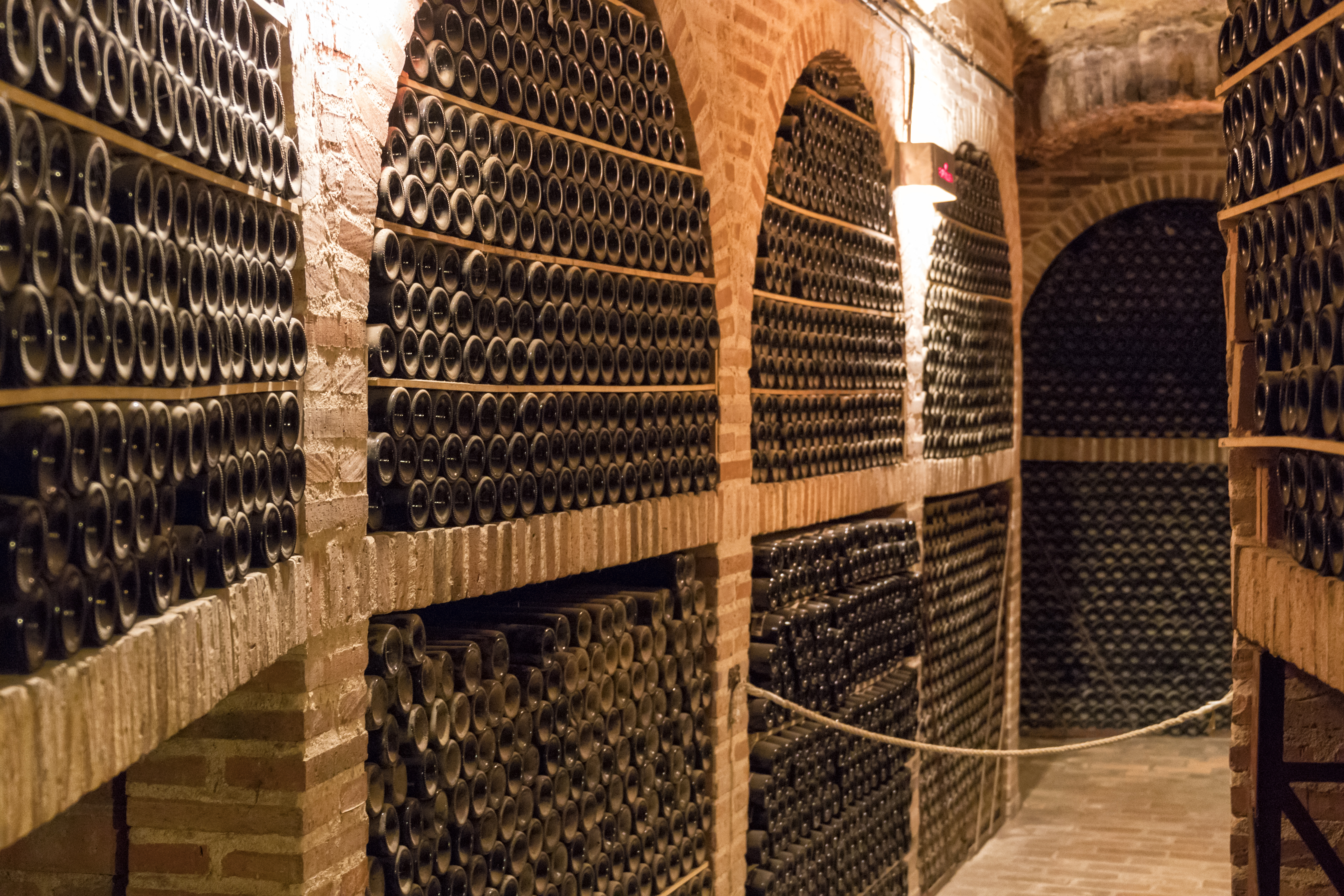 A cellar with walls lined with bottles of wine