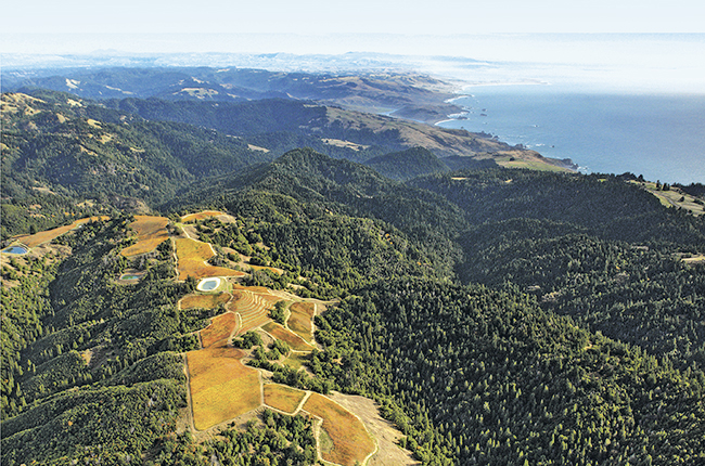 Fort Ross-Seaview Vineyards