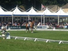 Izzy Taylor and Orlando finish their test, scoring 28.1, at Bramham CCI3* 2014