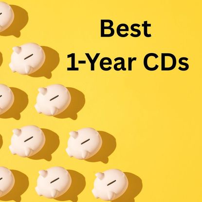 Piggy banks on a yellow background with the words Best 1-Year CDs next to it.