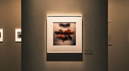 Irving Penn A Coruna Exhibition Spain