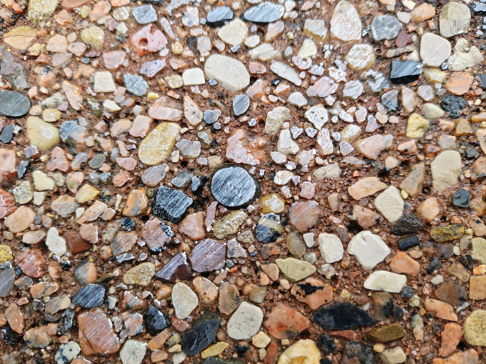 Motorola Razr Plus 2024 macro sample.