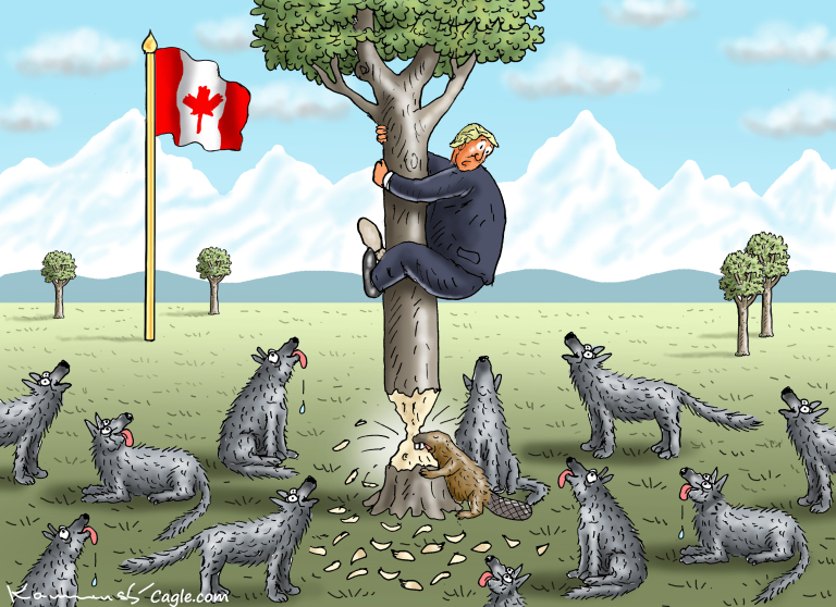 Donald Trump is stuck in a tree in Canada surrounded by hungry-looking, salivating wolves. A beaver is cutting through the base of the tree trunk and is nearly finished.