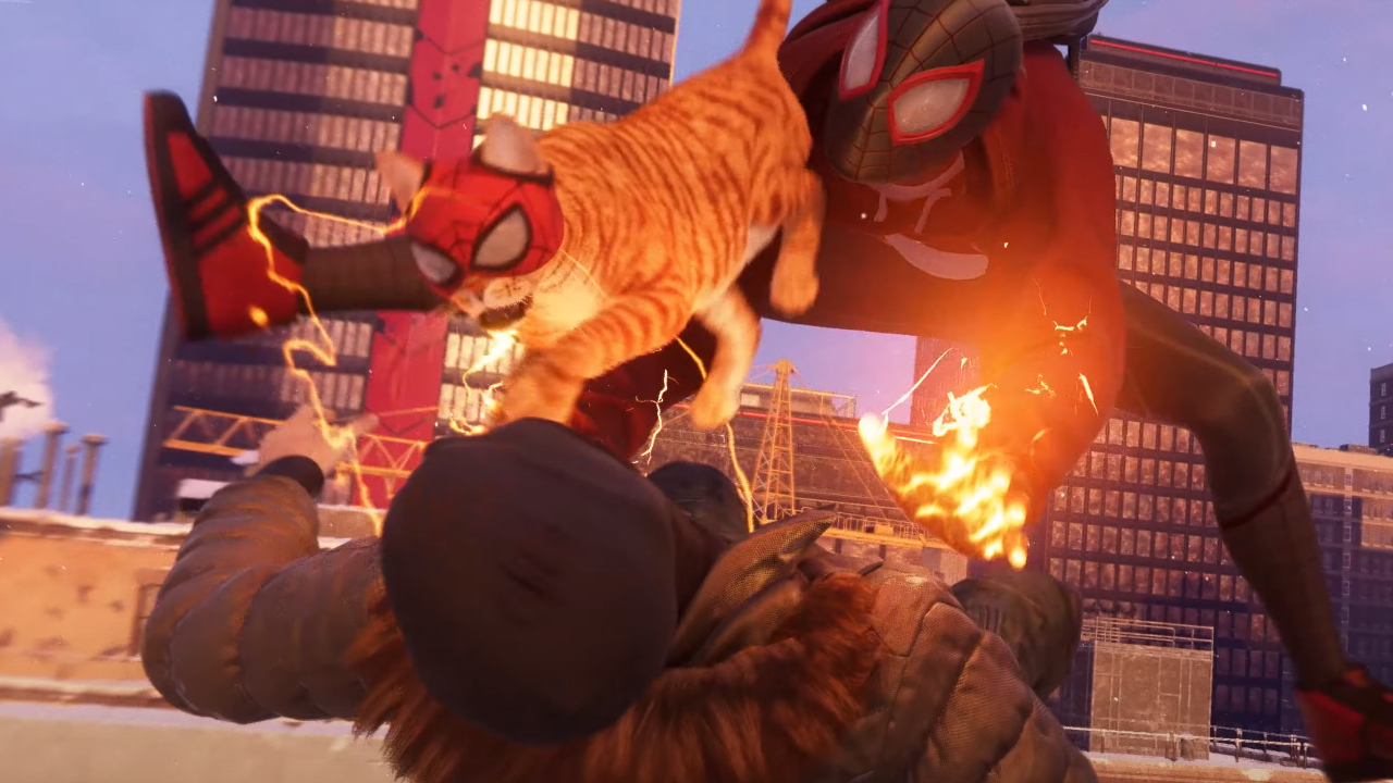 You can carry Spider-Cat around in your backpack in Spider-Man