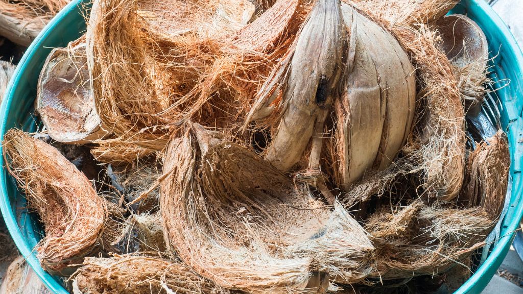 Coconut husks