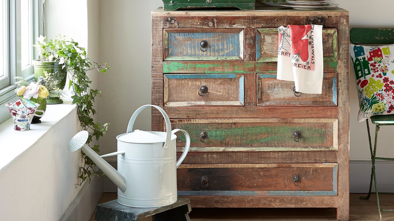 Plants with a watering can and a vintage cabinet for gardening tools