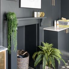 A black-painted bathroom with houseplants