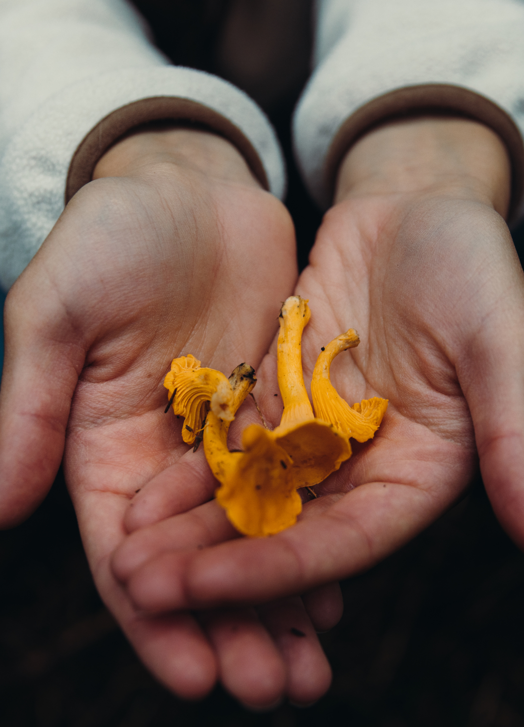Woman holding wild fungus