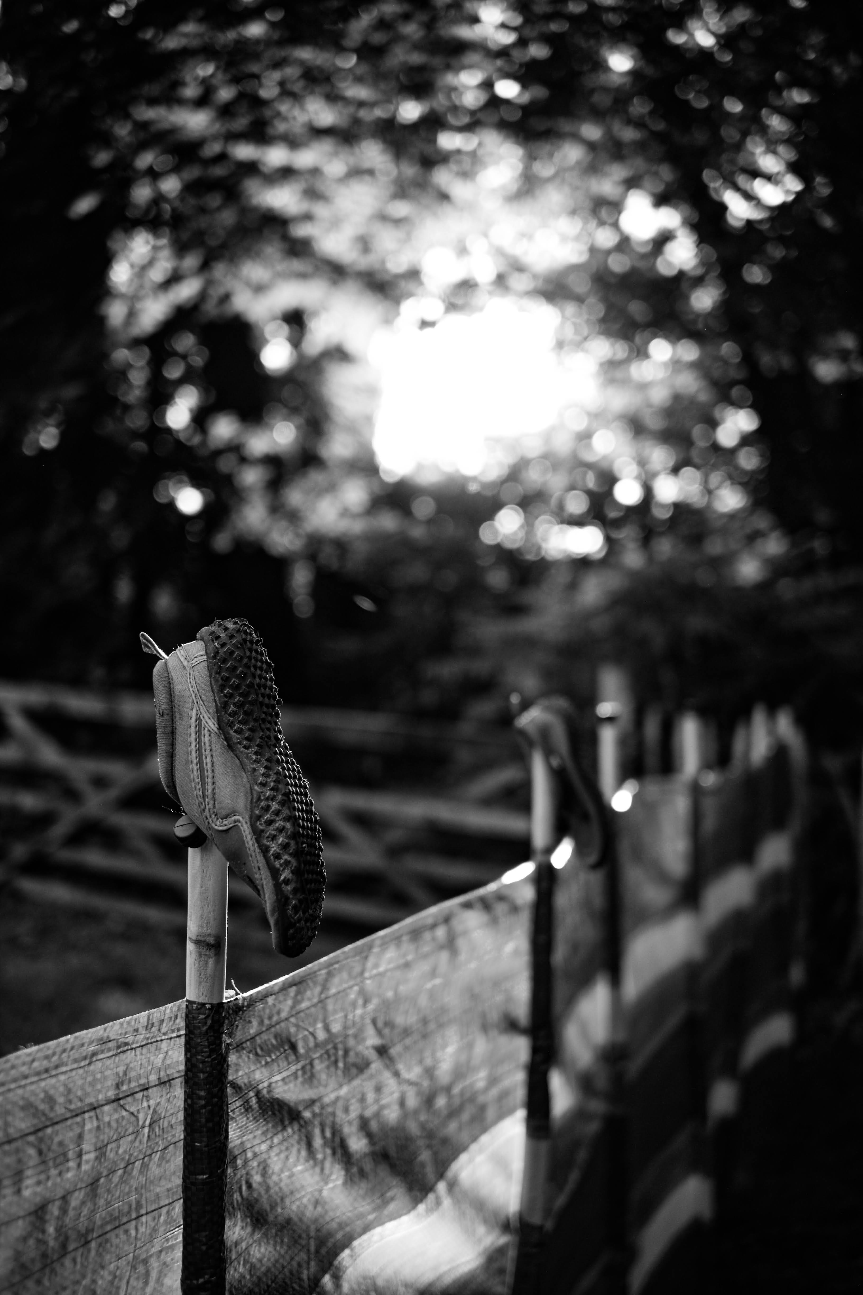 Leica 35mm Summarit-M f/2.5