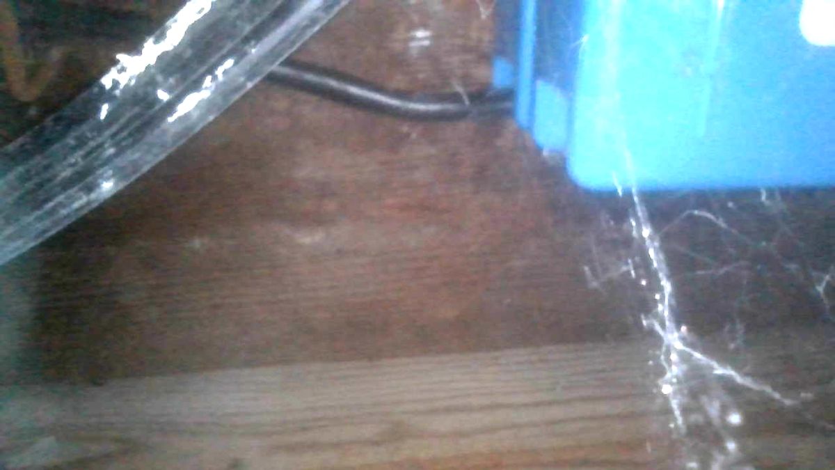 Images captured with Depstech WF070 Wireless Borescope Inspection Camera.