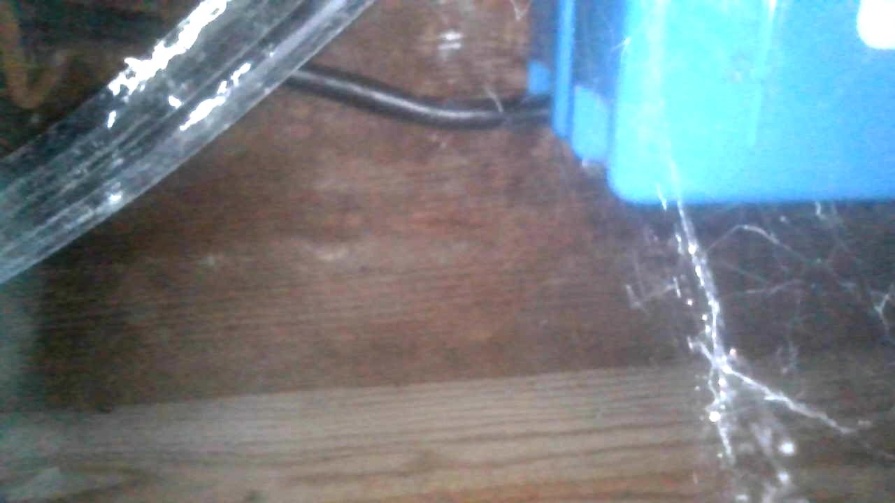 Images captured with Depstech WF070 Wireless Borescope Inspection Camera.