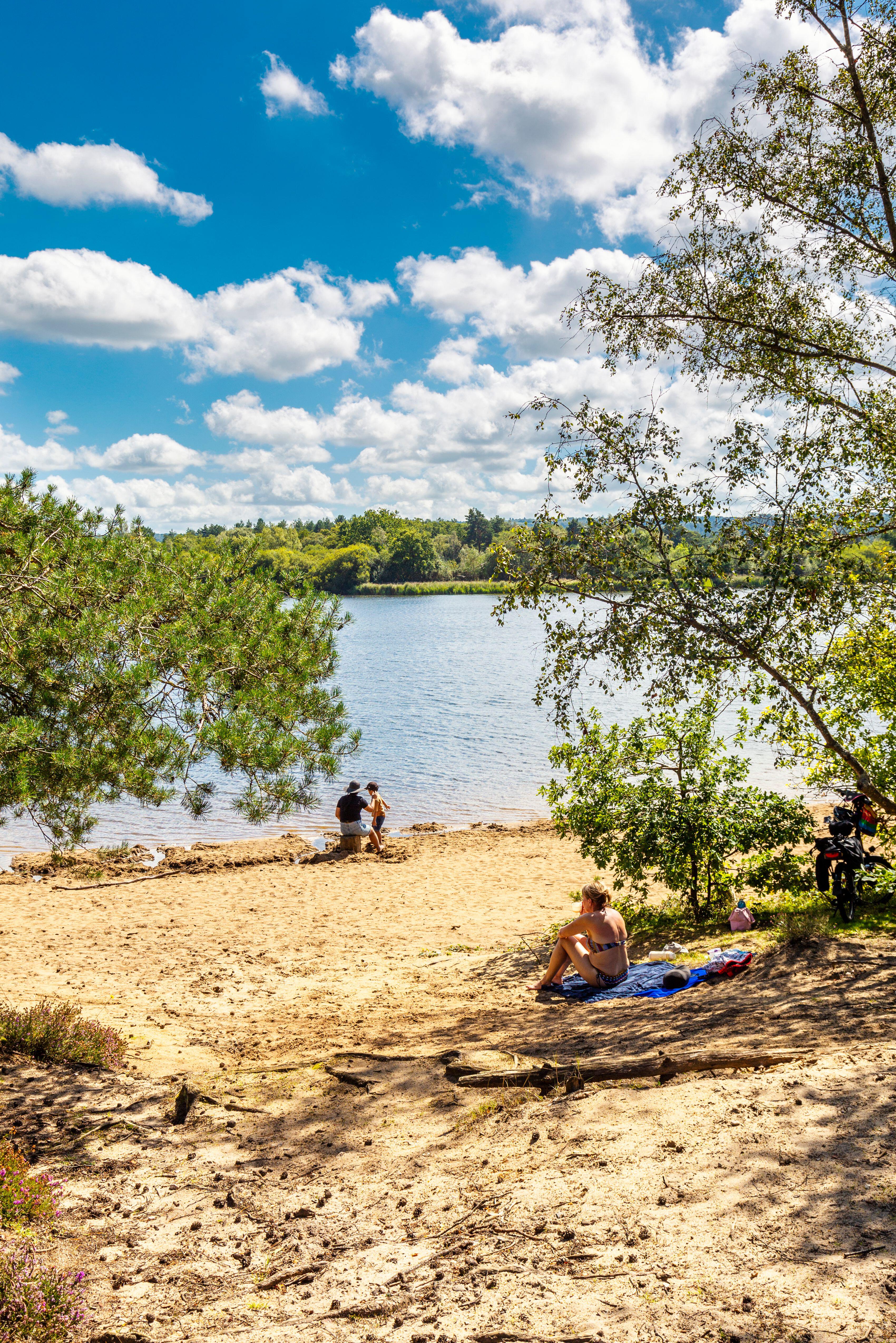People relaxing at Frensham Little Pond on a sunny day