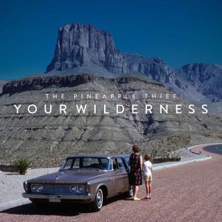 Your Wilderness cover