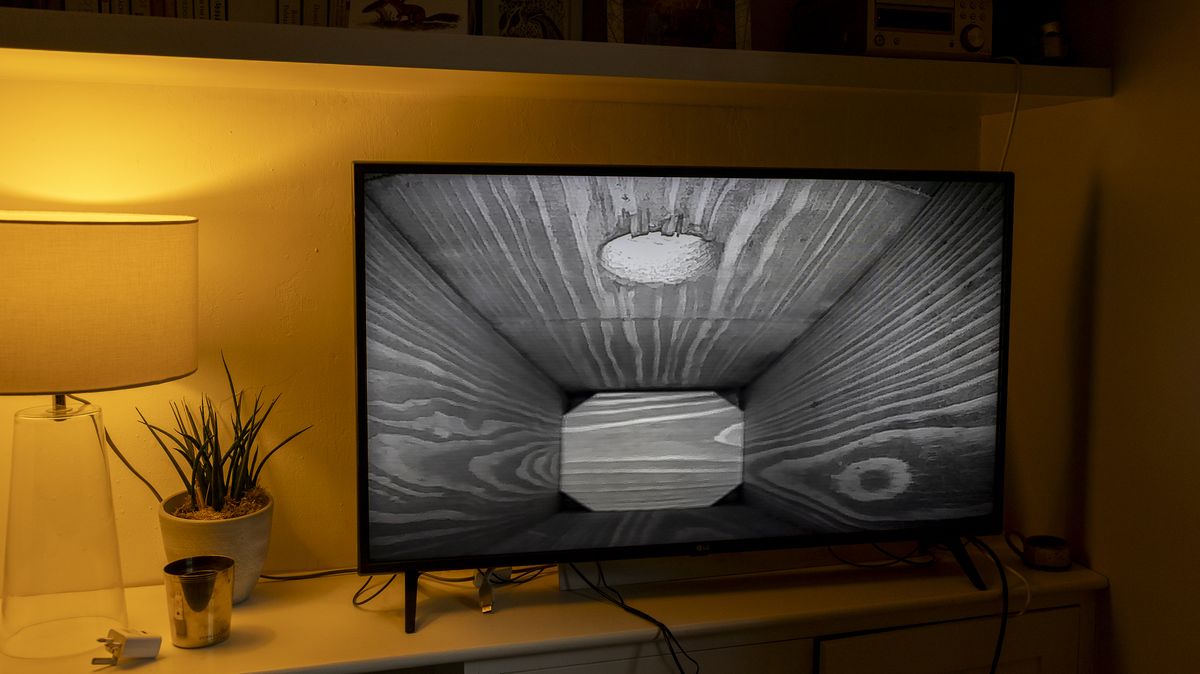 Night livestream from the Green Feathers TV Connection Bird Box &amp; Wildlife Camera
