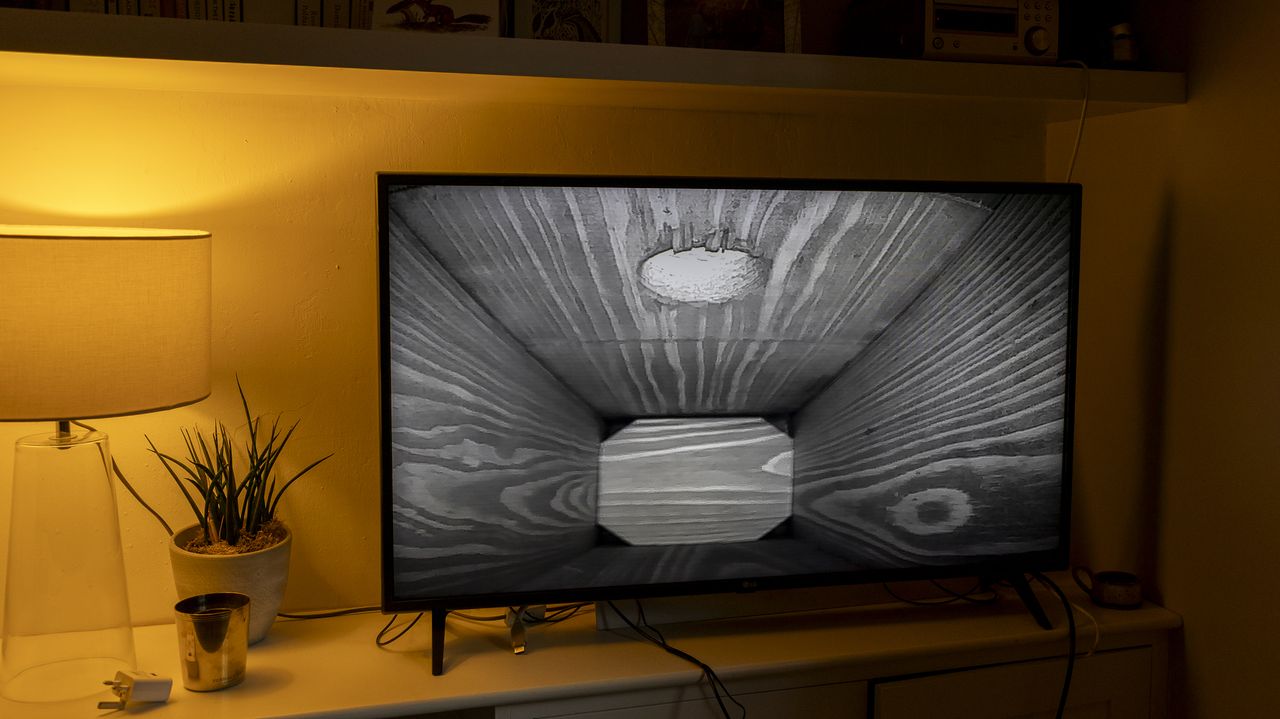 Night livestream from the Green Feathers TV Connection Bird Box &amp; Wildlife Camera