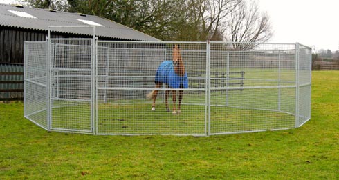 Lightweight Monarch Paddock Pen with Horse
