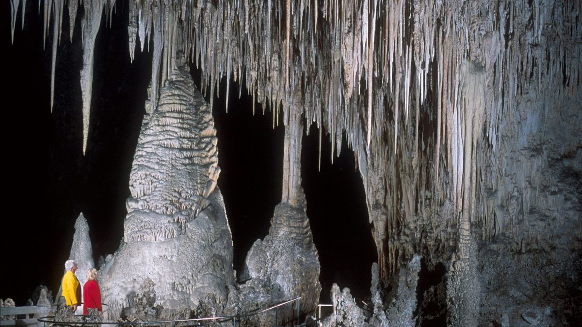 Carlsbad Caverns: New Mexico's otherworldly caves with gypsum flowers ...