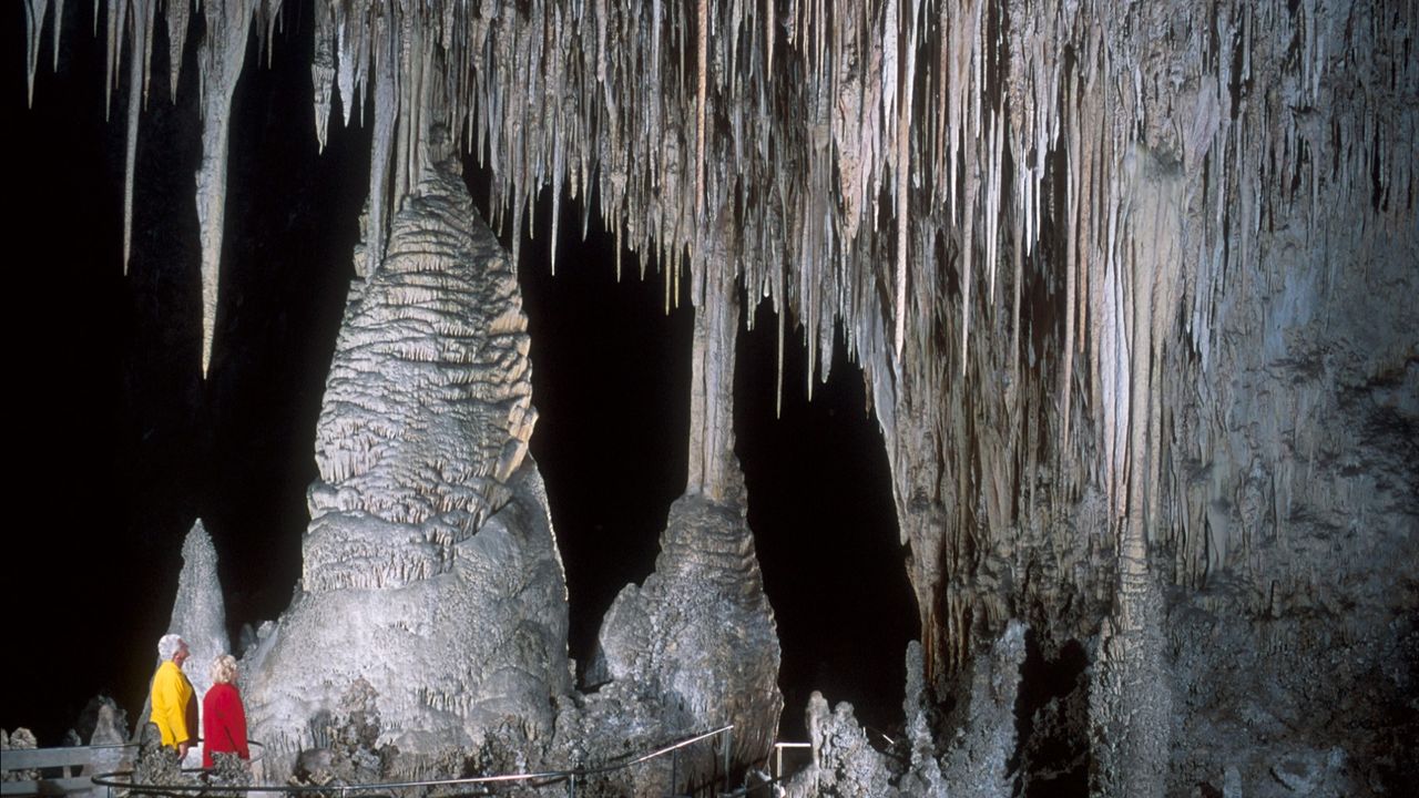 Interior of the Big Room cave featuring a limestone column and hundreds of stalactites. Two people gaze at the cave ceiling.