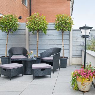 Large patio with seating area next to a grey painted fence lined with bay trees