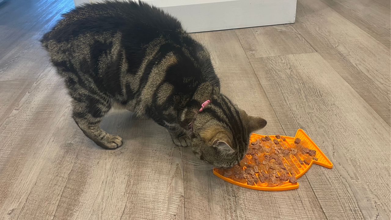 LickiMat Catster Cat Food Mat, one of the best cat puzzle feeders