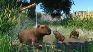 Planet Zoo Capybara