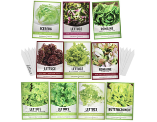 lettuce seed kit