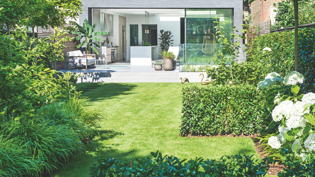 close up of a well kept garden lawn, edged with big green shrubs.