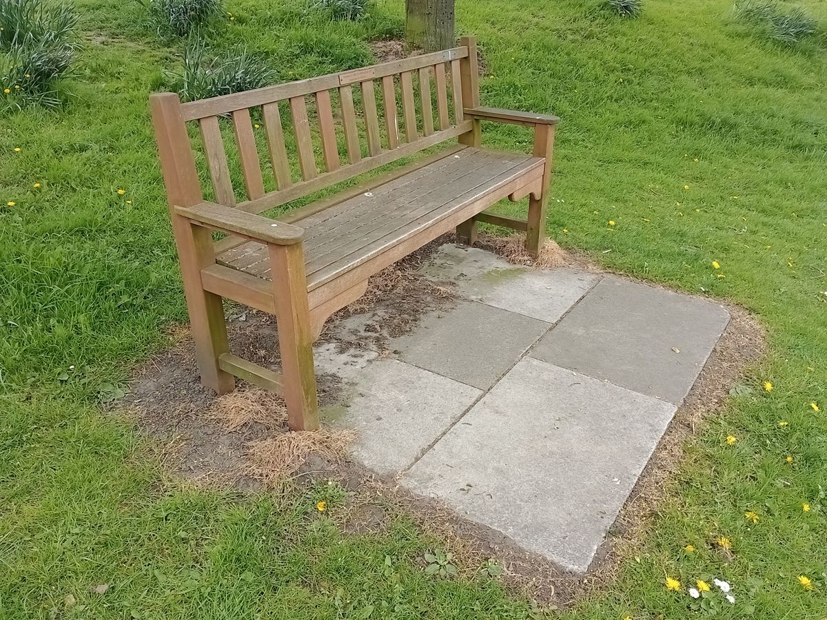 Moto G22 camera sample showing a bench