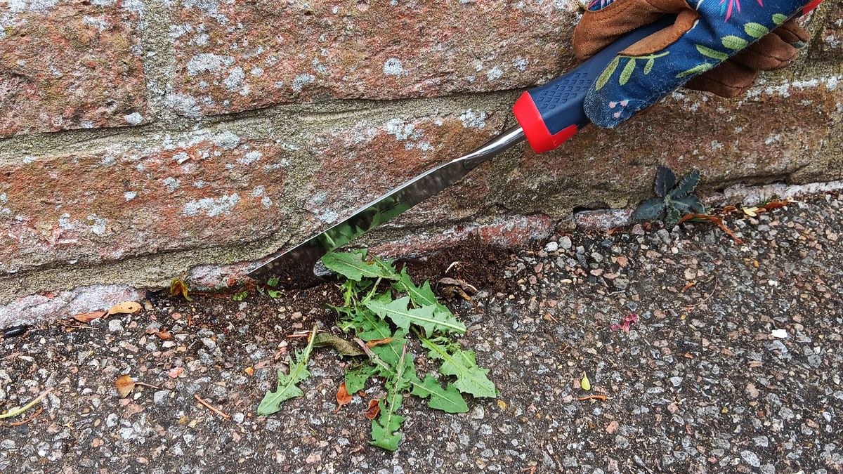 Spear &amp; Jackson patio knife weeding