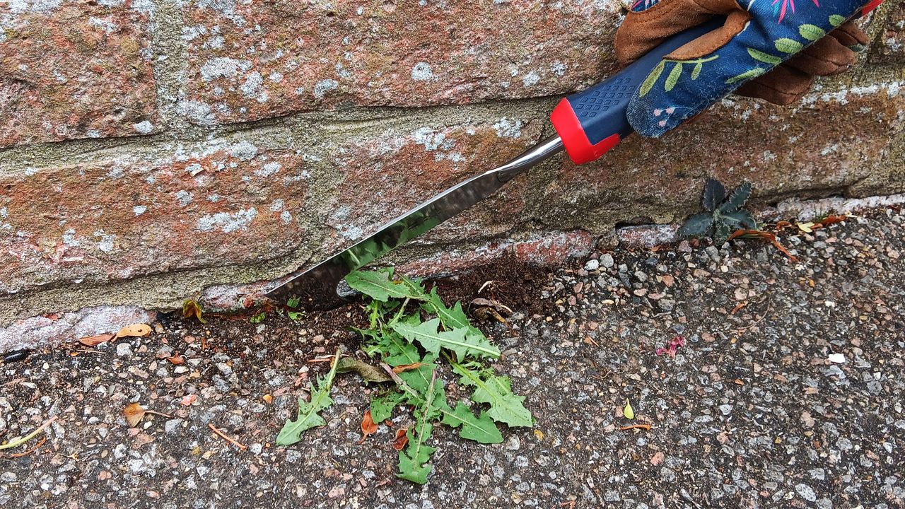 Spear &amp; Jackson patio knife weeding
