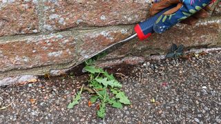 Spear & Jackson patio knife weeding