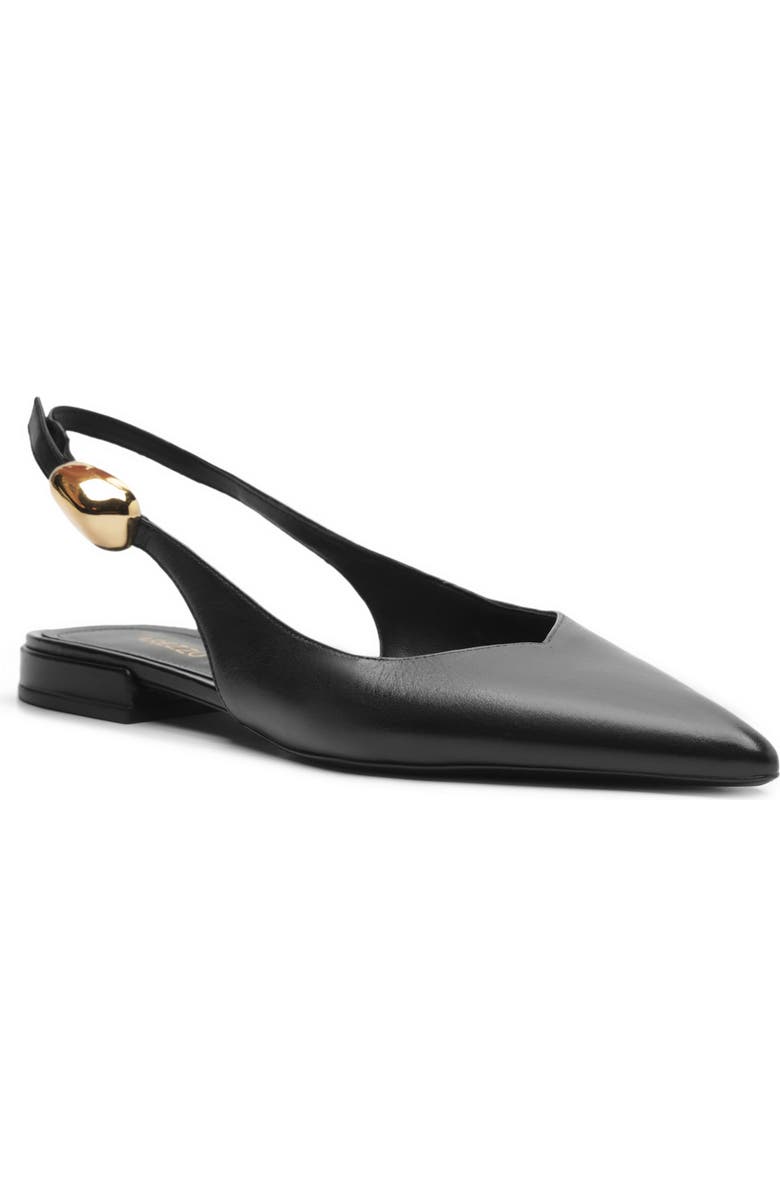 Farrah Slingback Pointed Toe Flat
