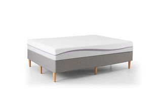 purple mattress