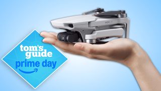 A DJI Mini 4K in a palm