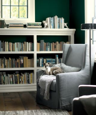 Home library idea with dog by Benjamin Moore