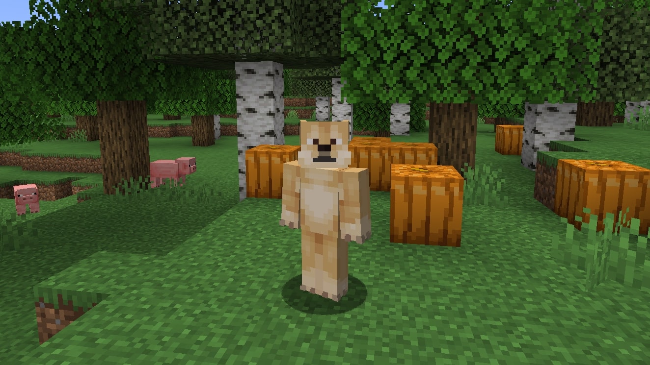 Uma skin engraçada de Minecraft do meme Doge que se parece com um bronzeado bípede Shiba Inu