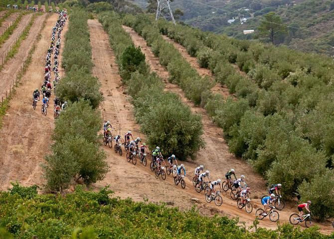 The lead bunch during stage 6