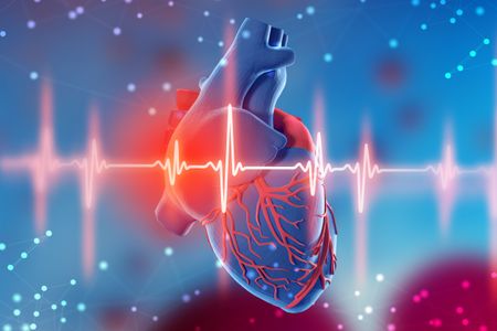 Human heart with cardiogram 3D illustration