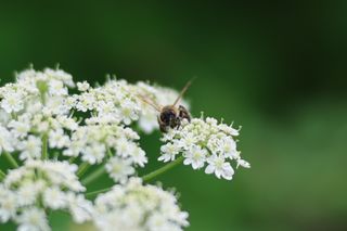 A photo taken on a Canon EOS R6 Mark III