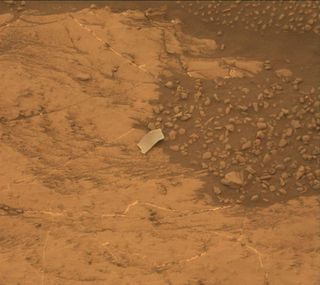 Odd Rock Flake Spied by Curiosity Rover