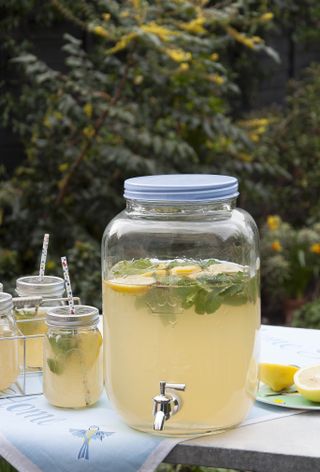 Garden Party Lemonade Drinks Dispenser from Rex London